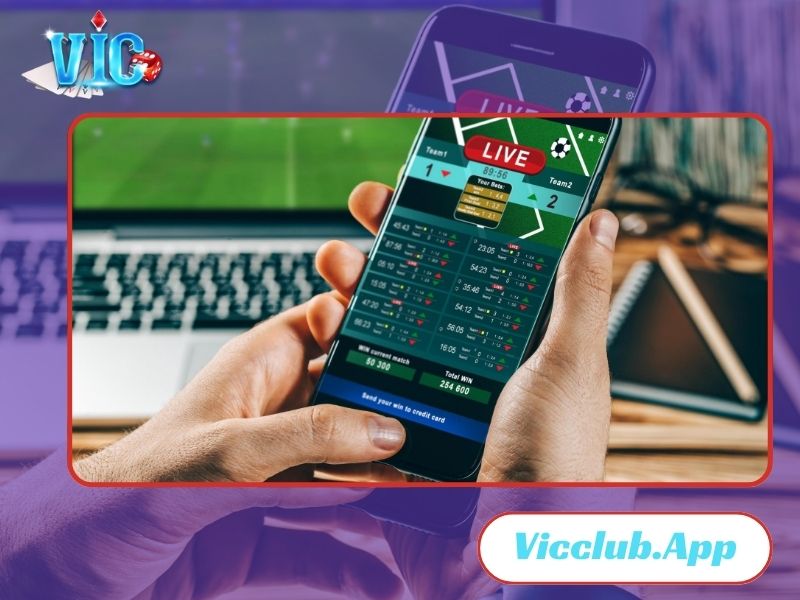 Vic Club – Địa chỉ cá cược an toàn và uy tín