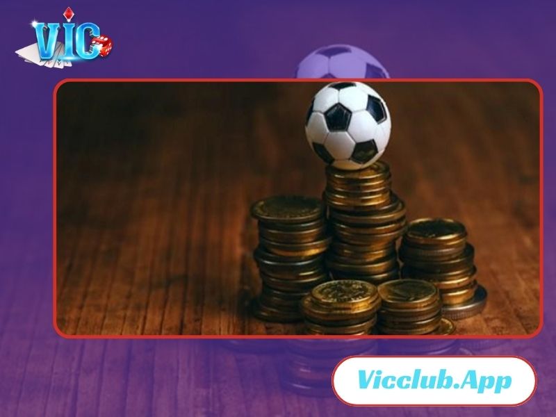 Thị trường cá cược cực kỳ cạnh tranh