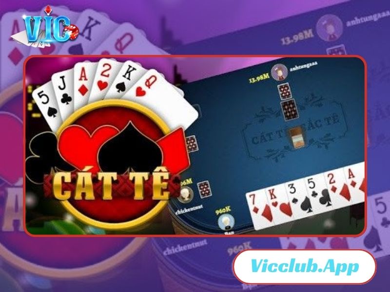 Catte tại Vicclub.app