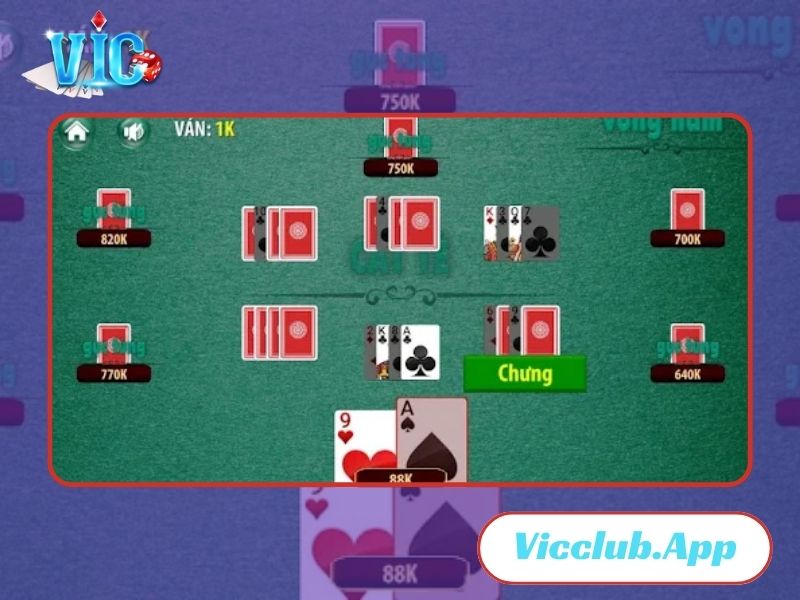 Chơi game Catte tại Vic Club ngay hôm nay