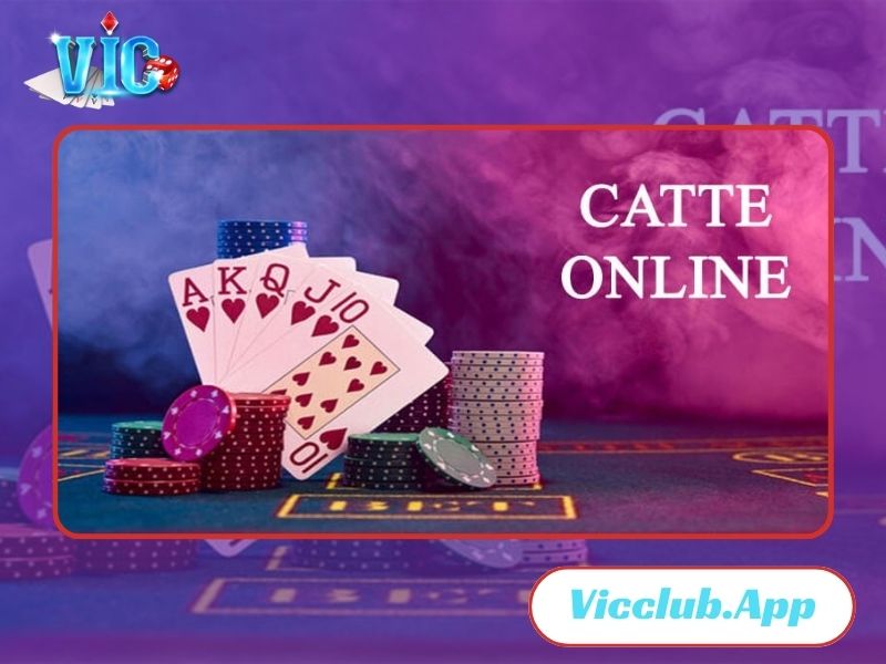 Áp dụng những mẹo chơi Catte từ cao thủ